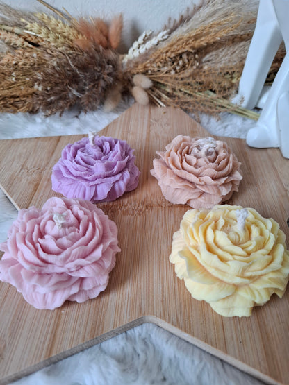 Bougie Collection – Pivoine