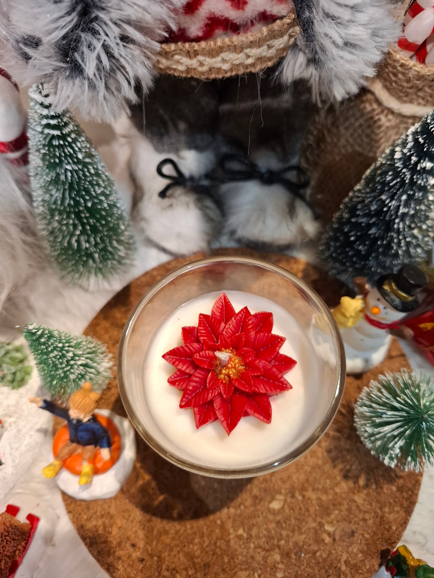 Coffret de Noël 🎄 édition limitée